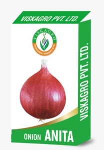 Onion Anita