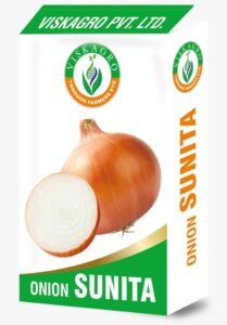 Onion Sunita