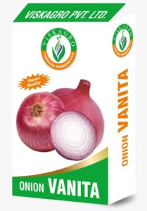 Onion Vanita