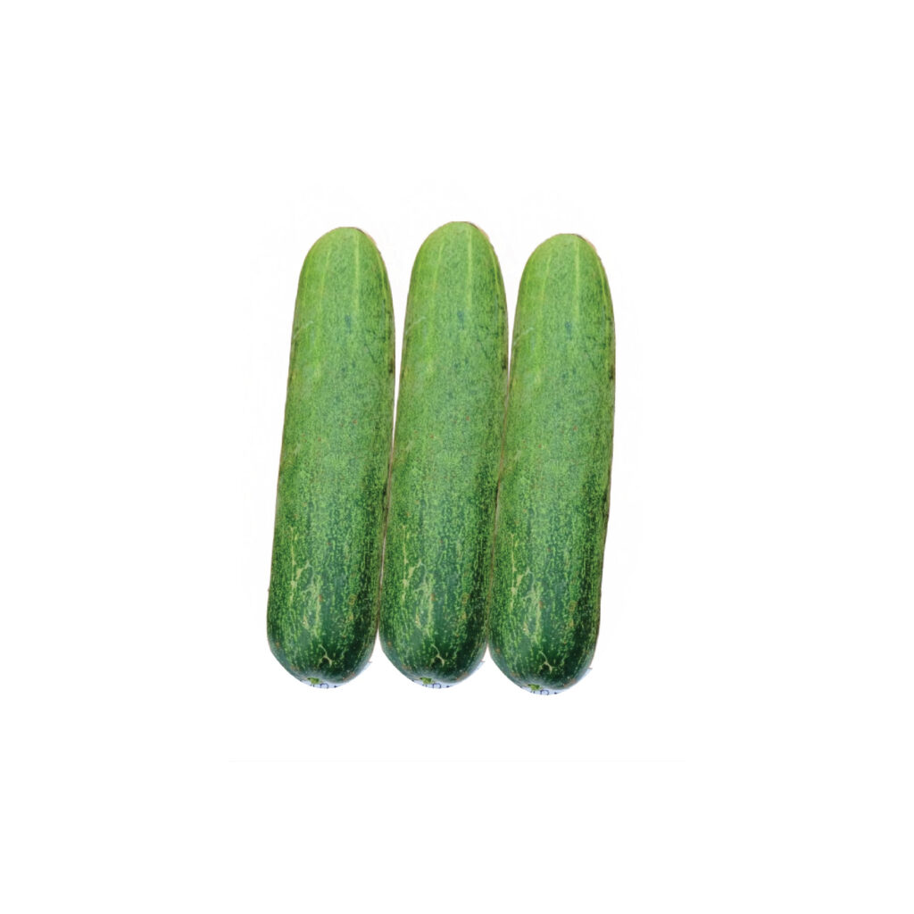 Cucumber Krishna