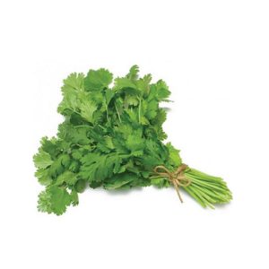 Coriander