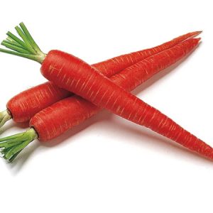 carrot-dhawan1